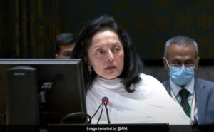 "We Don't Need To Be Told What To Do On Democracy": India At UN