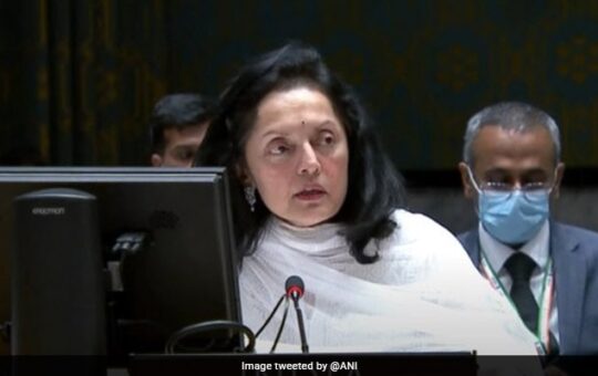 "We Don't Need To Be Told What To Do On Democracy": India At UN